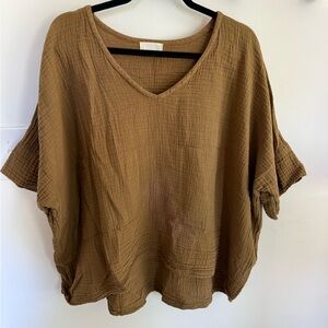 Elegant Tan V-Neck Blouse